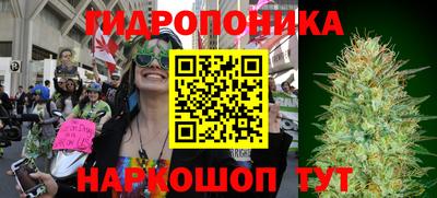 гашик Пыть-Ях