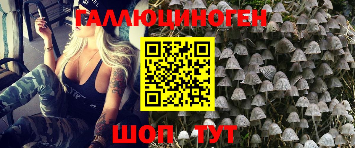 Псилоцибиновые грибы MAGIC MUSHROOMS  Вход с VPN  Серпухов 